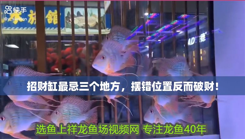 招財缸最忌三個地方，擺錯位置反而破財！