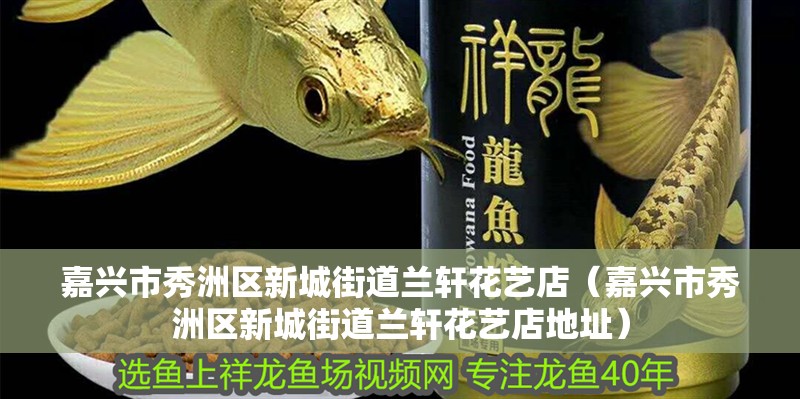 嘉興市秀洲區(qū)新城街道蘭軒花藝店（嘉興市秀洲區(qū)新城街道蘭軒花藝店地址）