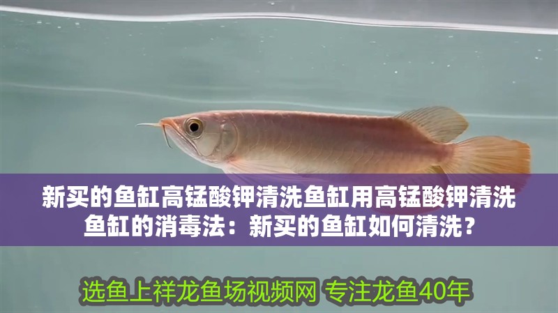 新買的魚缸高錳酸鉀清洗魚缸用高錳酸鉀清洗魚缸的消毒法：新買的魚缸如何清洗？