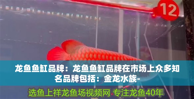 龍魚魚缸品牌：龍魚魚缸品牌在市場上眾多知名品牌包括：金龍水族-