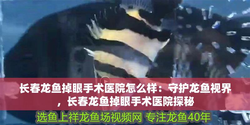 南陽(yáng)哪里有定做魚缸的地方啊圖片（南陽(yáng)魚缸哪里有賣的）