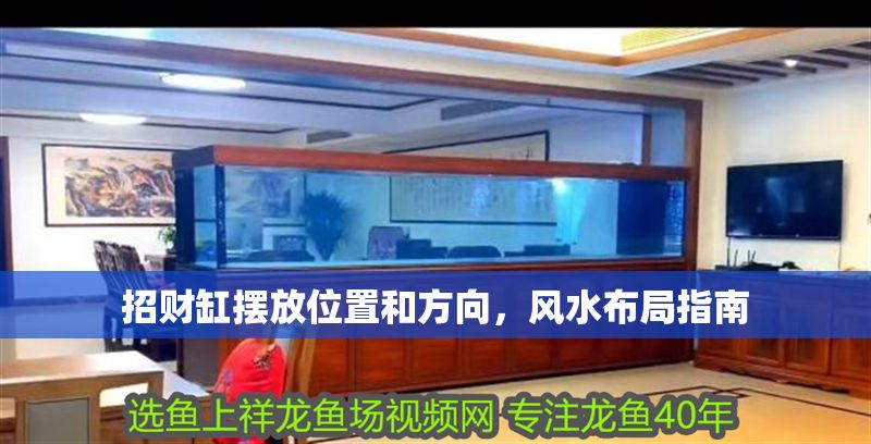 招財缸擺放位置和方向，風水布局指南