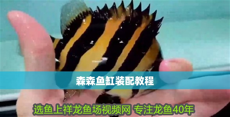 森森魚缸裝配教程