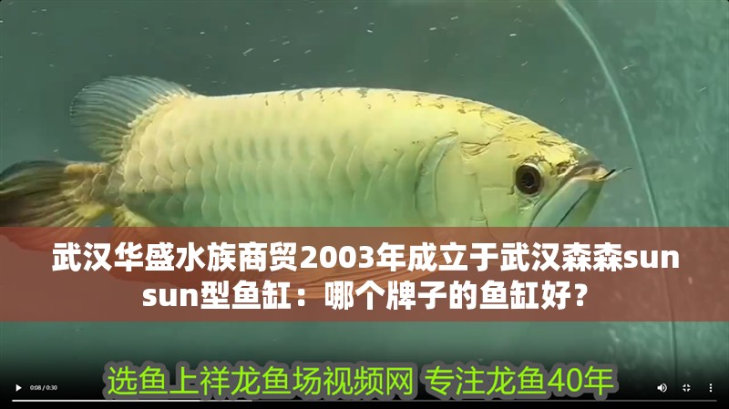 武漢華盛水族商貿2003年成立于武漢森森sunsun型魚缸：哪個牌子的魚缸好？