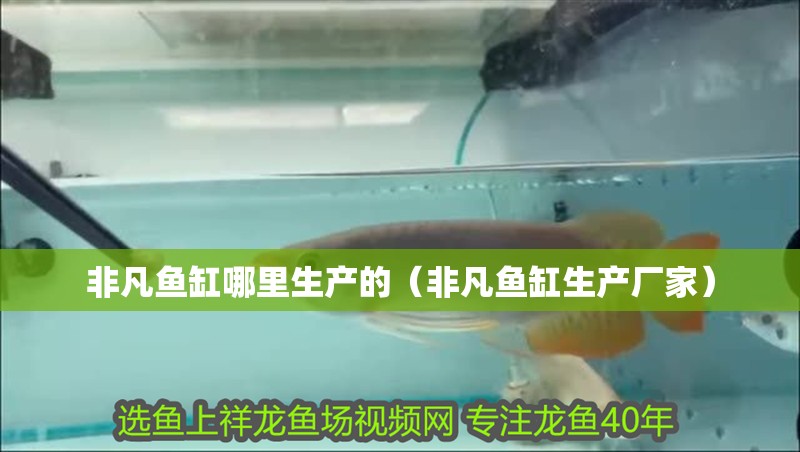 非凡魚缸哪里生產的（非凡魚缸生產廠家）