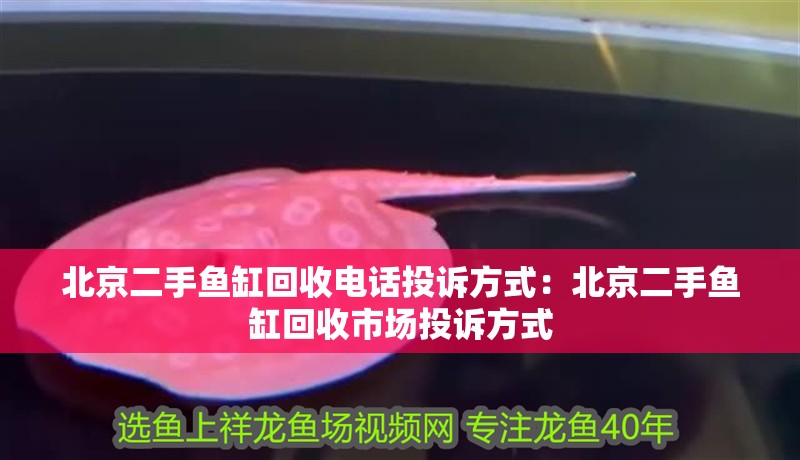 北京二手魚缸回收電話投訴方式：北京二手魚缸回收市場投訴方式