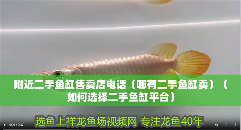 附近二手魚缸售賣店電話（哪有二手魚缸賣）（如何選擇二手魚缸平臺）