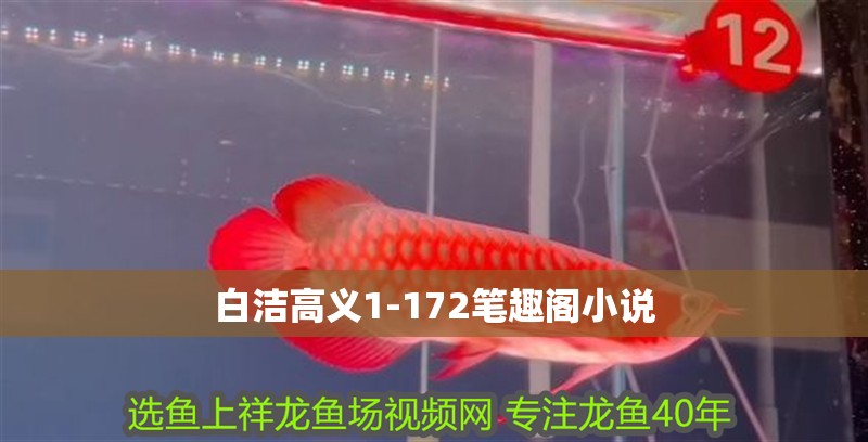 白潔高義1-172筆趣閣小說(shuō)