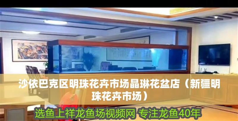 沙依巴克區明珠花卉市場晶琳花盆店（新疆明珠花卉市場）