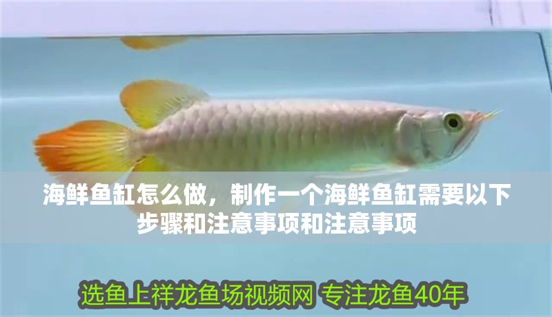 海鮮魚缸怎么做，制作一個海鮮魚缸需要以下步驟和注意事項和注意事項