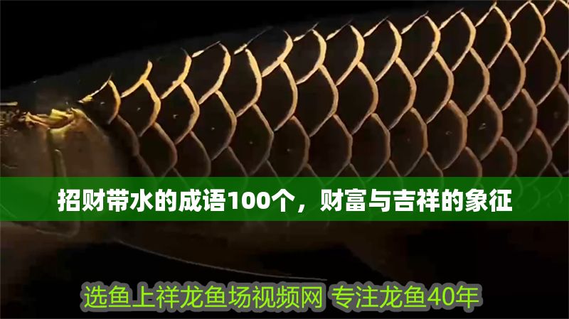 招財帶水的成語100個，財富與吉祥的象征