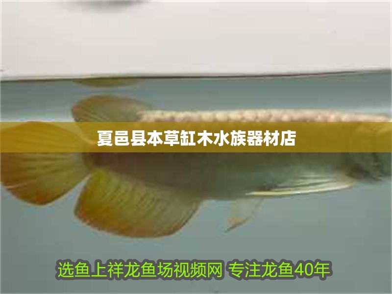 夏邑縣本草缸木水族器材店