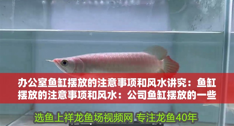 辦公室魚缸擺放的注意事項和風水講究：魚缸擺放的注意事項和風水：公司魚缸擺放的一些注意事項和風水講究