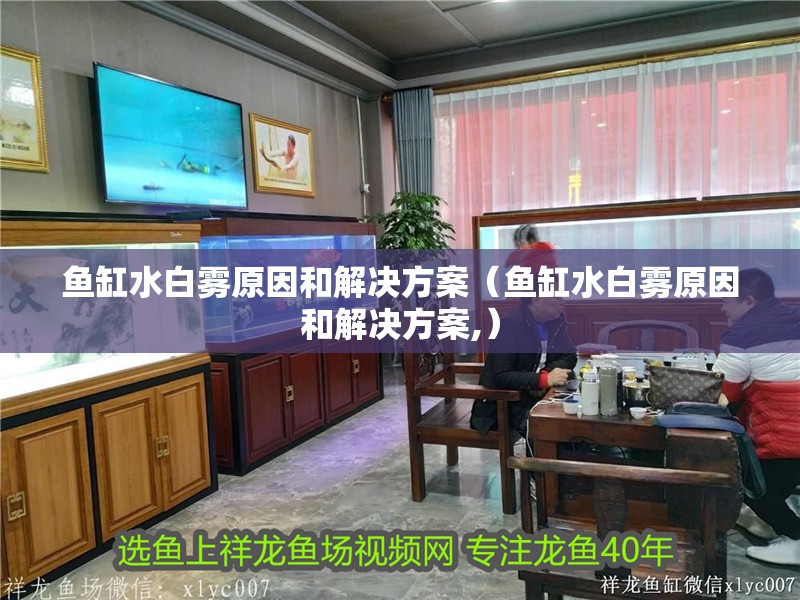 魚缸水白霧原因和解決方案（魚缸水白霧原因和解決方案,）