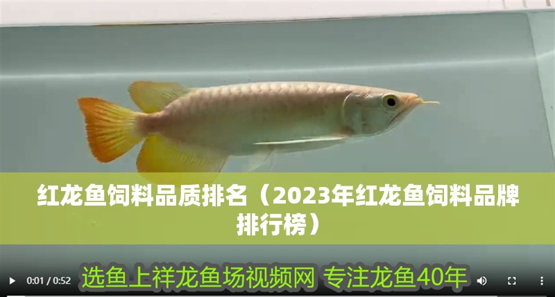 紅龍魚飼料品質排名（2023年紅龍魚飼料品牌排行榜）