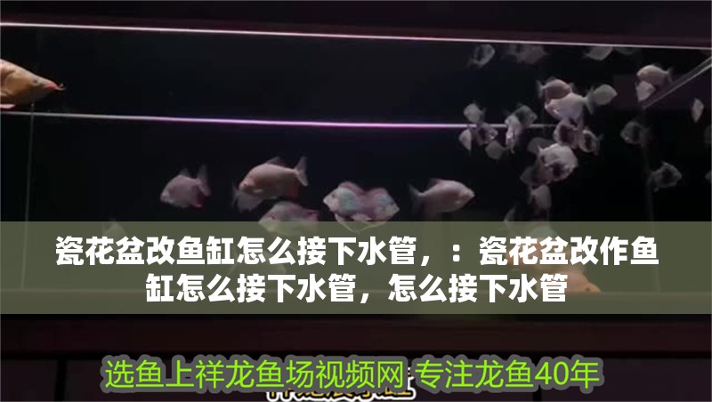 瓷花盆改魚(yú)缸怎么接下水管，：瓷花盆改作魚(yú)缸怎么接下水管，怎么接下水管