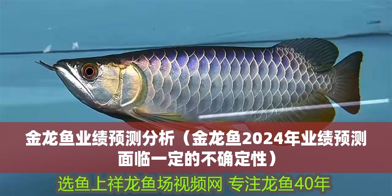 金龍魚業績預測分析（金龍魚2024年業績預測面臨一定的不確定性）