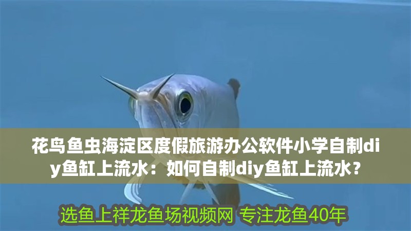 花鳥魚蟲海淀區度假旅游辦公軟件小學自制diy魚缸上流水：如何自制diy魚缸上流水？
