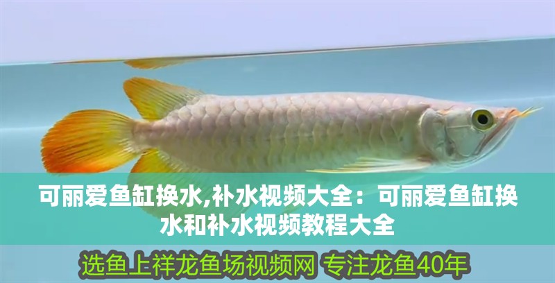 可麗愛魚缸換水,補水視頻大全：可麗愛魚缸換水和補水視頻教程大全