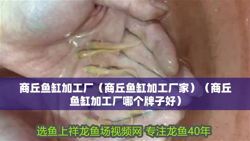 商丘魚缸加工廠（商丘魚缸加工廠家）（商丘魚缸加工廠哪個牌子好）