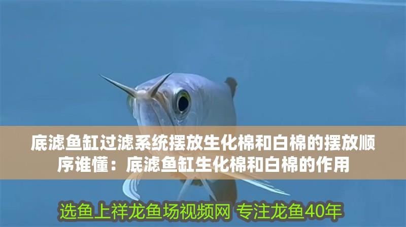 底濾魚缸過濾系統(tǒng)擺放生化棉和白棉的擺放順序誰懂：底濾魚缸生化棉和白棉的作用