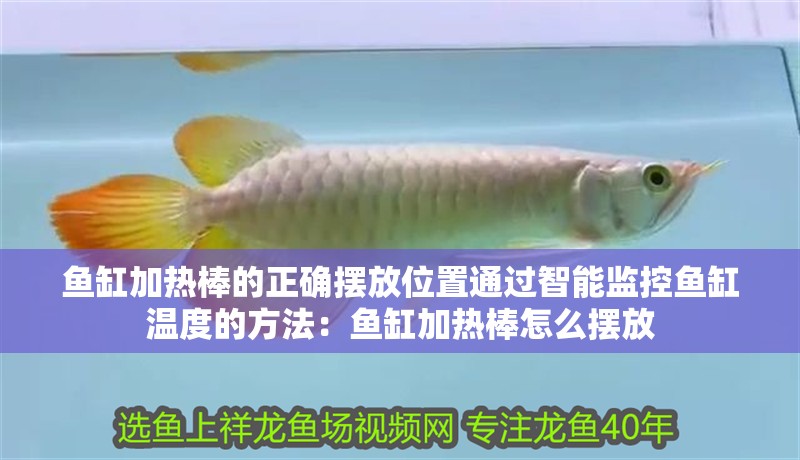 魚缸加熱棒的正確擺放位置通過智能監(jiān)控魚缸溫度的方法：魚缸加熱棒怎么擺放