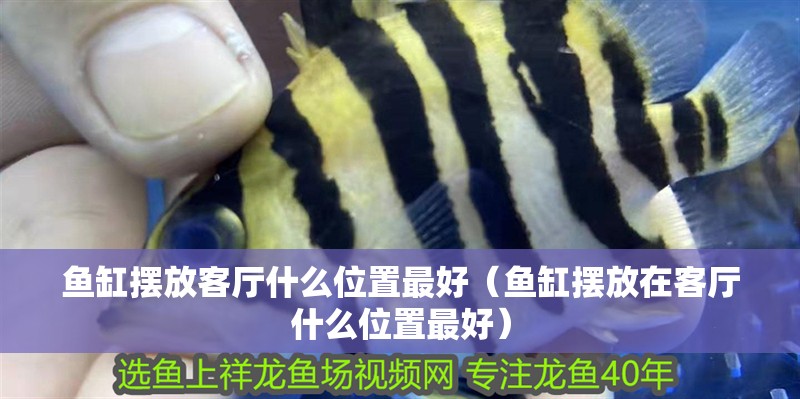 魚(yú)缸擺放客廳什么位置最好（魚(yú)缸擺放在客廳什么位置最好）