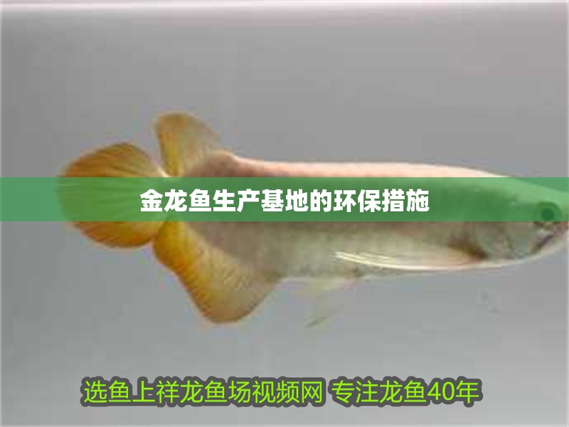 金龍魚生產(chǎn)基地的環(huán)保措施