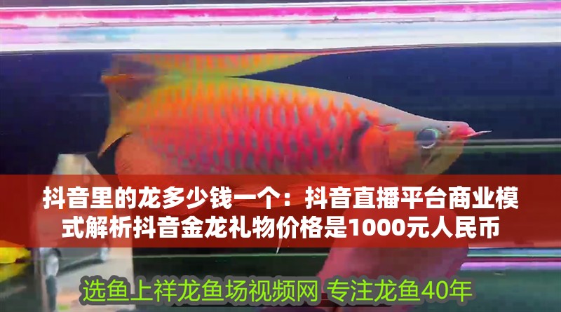 抖音里的龍多少錢一個：抖音直播平臺商業模式解析抖音金龍禮物價格是1000元人民幣