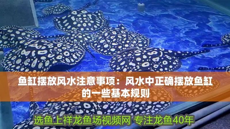 魚缸擺放風水注意事項：風水中正確擺放魚缸的一些基本規(guī)則
