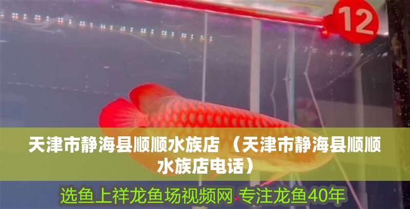 天<strong><mark>津市</mark></strong>靜海縣順順水族店 （天<strong><mark>津市</mark></strong>靜海縣順順水族店電話）