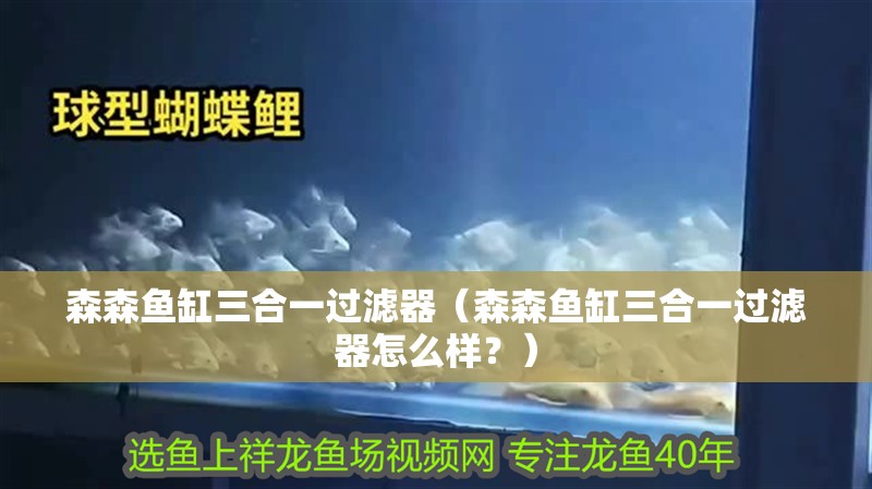 森森魚缸三合一過濾器（森森魚缸三合一過濾器怎么樣？）