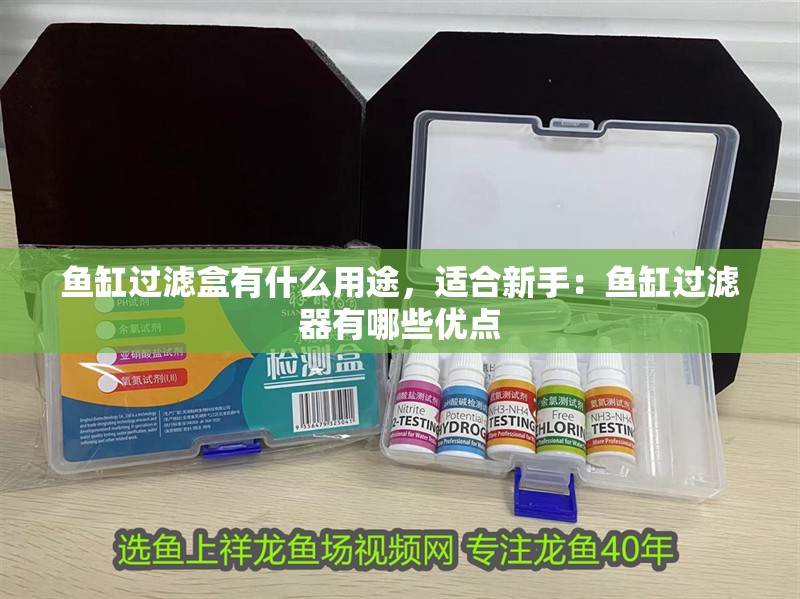 魚缸過濾盒有什么用途，適合新手：魚缸過濾器有哪些優點