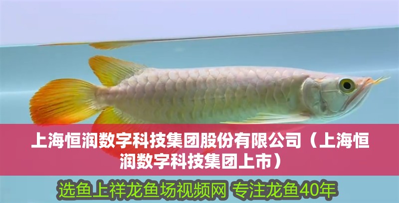 上海恒潤數(shù)字科技集團股份有限公司（上海恒潤數(shù)字科技集團上市）