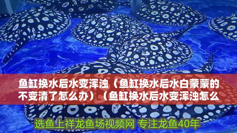 魚缸換水后水變渾濁（魚缸換水后水白蒙蒙的不變清了怎么辦）（魚缸換水后水變渾濁怎么辦）