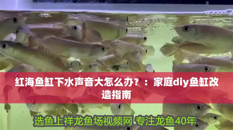 紅海魚缸下水聲音大怎么辦？：家庭diy魚缸改造指南