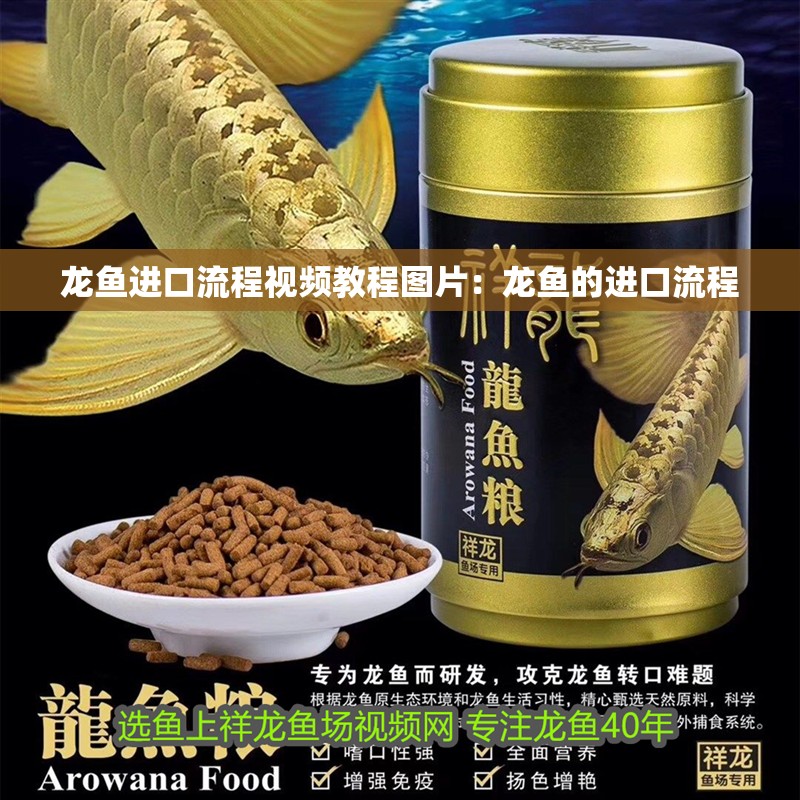 龍魚進口流程視頻教程圖片：龍魚的進口流程