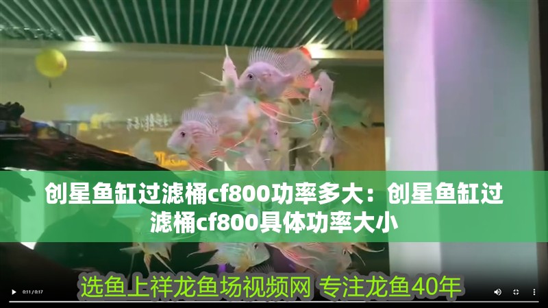 創(chuàng)星魚缸過濾桶cf800功率多大：創(chuàng)星魚缸過濾桶cf800具體功率大小