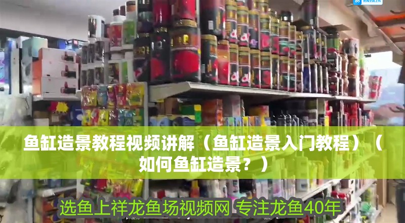 魚缸造景教程視頻講解（魚缸造景入門教程）（如何魚缸造景？） 魚缸造景教程視頻講解（魚缸造景入門教程）（如何魚缸造景？） 魚缸百科