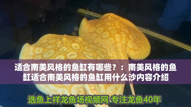 適合南美風格的魚缸有哪些？：南美風格的魚缸適合南美風格的魚缸用什么沙內容介紹 適合南美風格的魚缸有哪些？：南美風格的魚缸適合南美風格的魚缸用什么沙內容介紹 魚缸百科