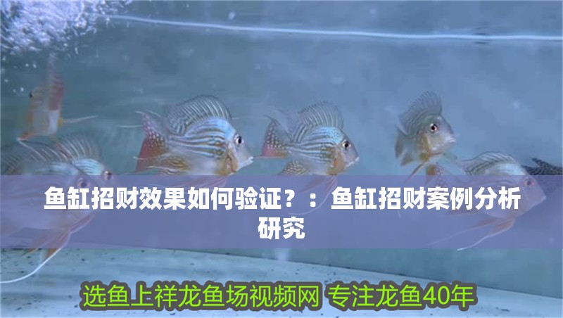 魚缸招財效果如何驗證？：魚缸招財案例分析研究