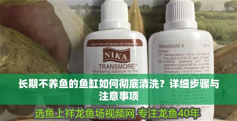 長期不養魚的魚缸如何徹底清洗？詳細步驟與注意事項