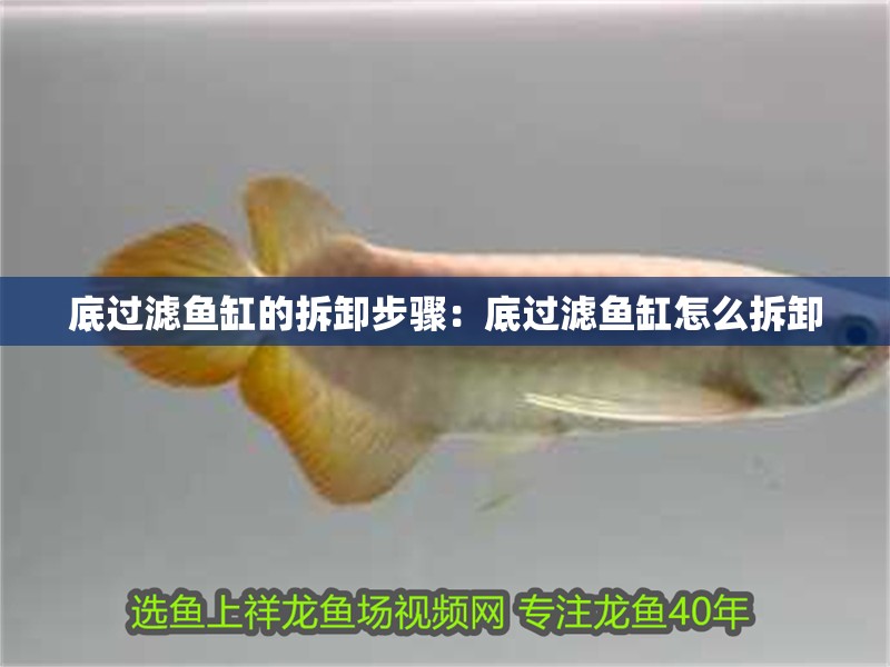 底過濾魚缸的拆卸步驟：底過濾魚缸怎么拆卸
