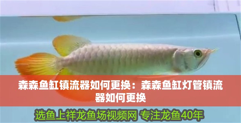 森森魚缸鎮流器如何更換：森森魚缸燈管鎮流器如何更換