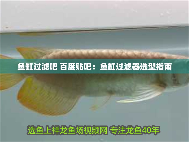 魚缸過濾吧 百度貼吧：魚缸過濾器選型指南