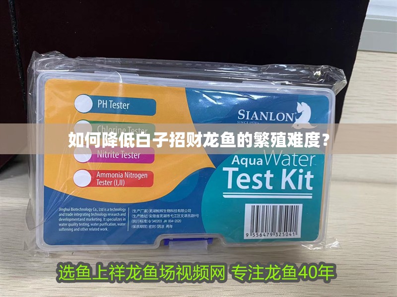 如何降低白子招財(cái)龍魚(yú)的繁殖難度？