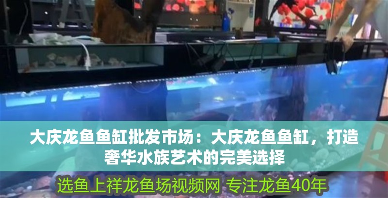 大慶龍魚魚缸批發市場：大慶龍魚魚缸，打造奢華水族藝術的完美選擇