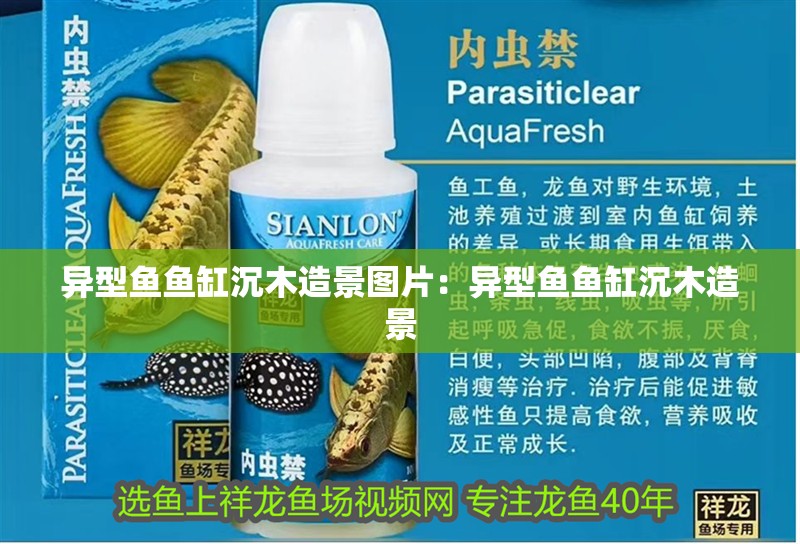 異型魚魚缸沉木造景圖片：異型魚魚缸沉木造景
