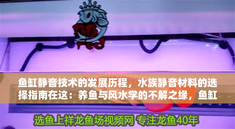 魚缸靜音技術的發展歷程，水族靜音材料的選擇指南在這：養魚與風水學的不解之緣，魚缸靜音技術的發展歷程