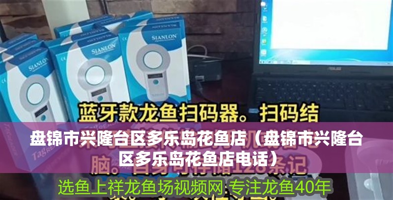 盤錦市興隆臺區多樂島花魚店（盤錦市興隆臺區多樂島花魚店電話）